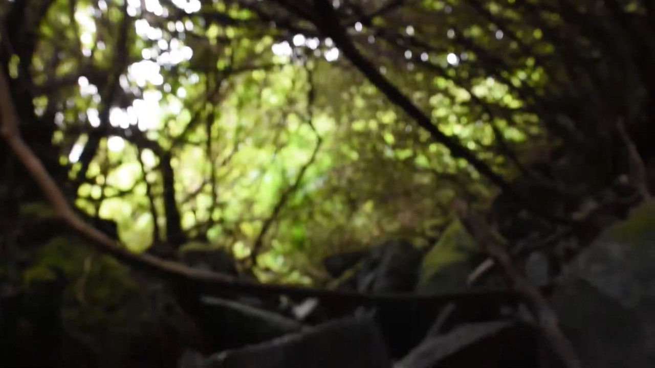 Inner Journey backdrop