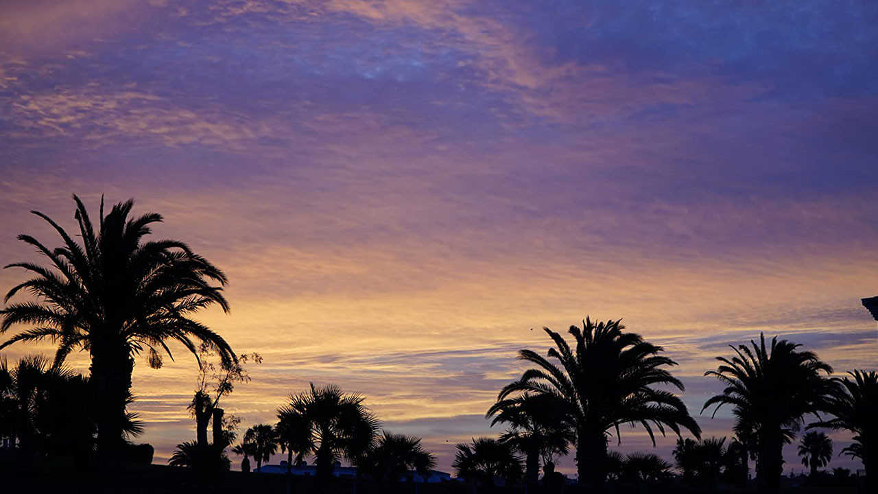 One Glorious Sunset backdrop