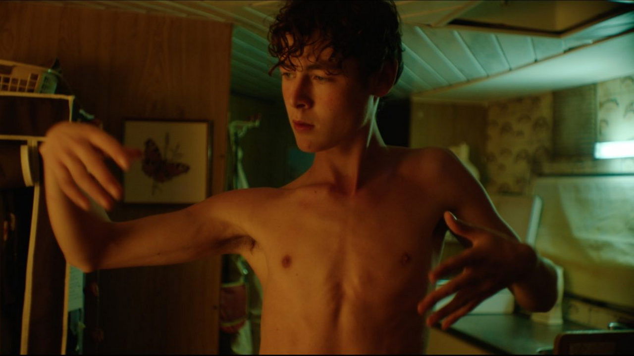 Beautiful Alexander backdrop