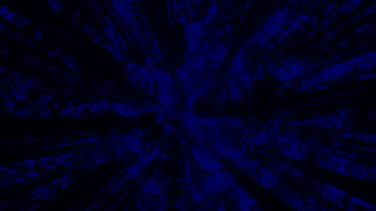 New York City Opera: A Little Night Music backdrop