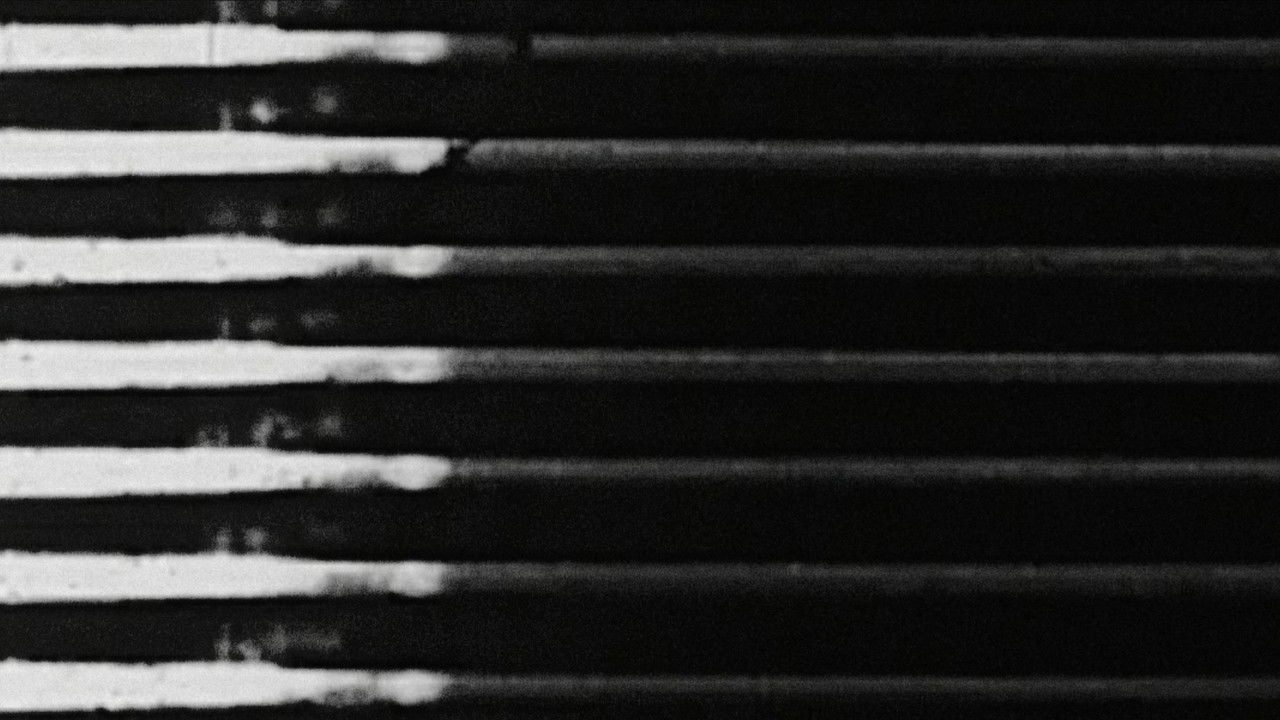 My Movie Melodies backdrop