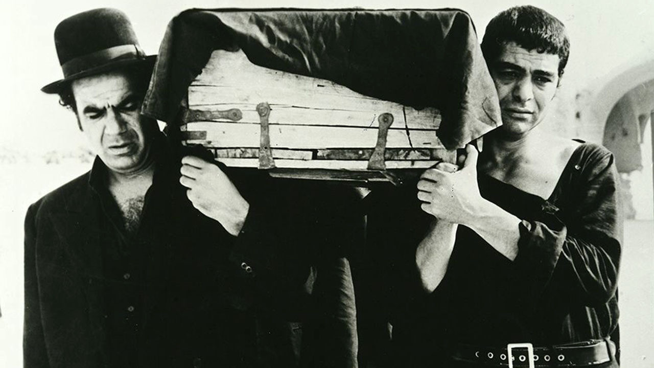 The ring-necked dove backdrop