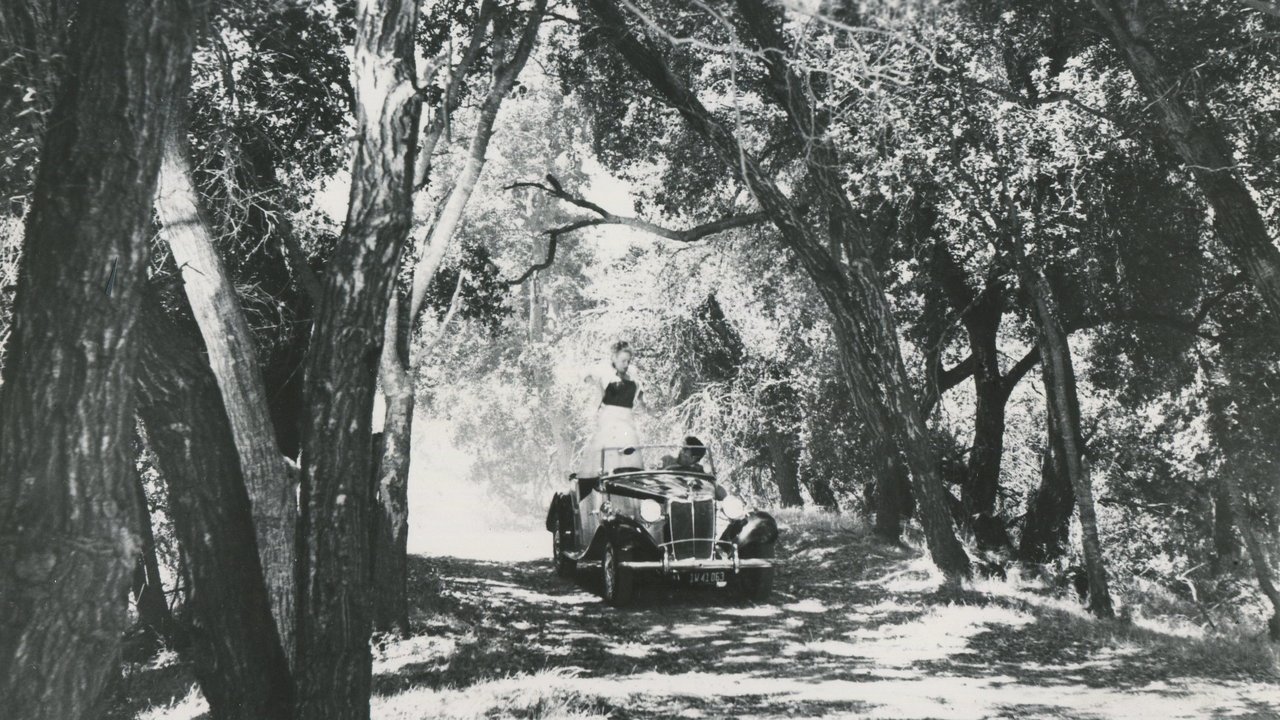 Marry Me Again backdrop