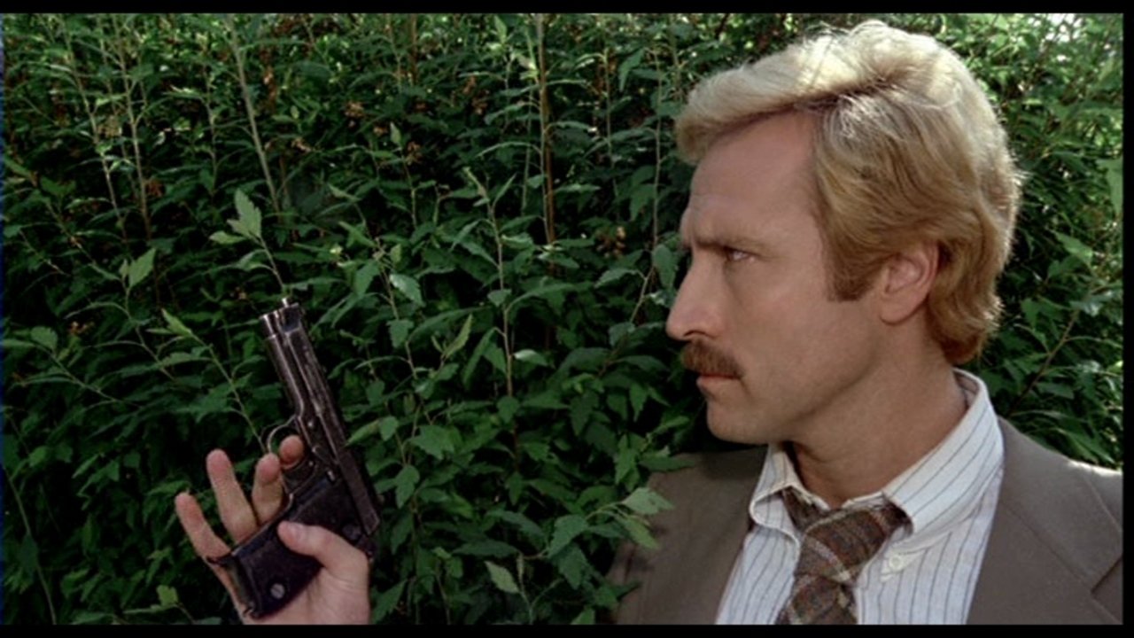 Fear in the City backdrop