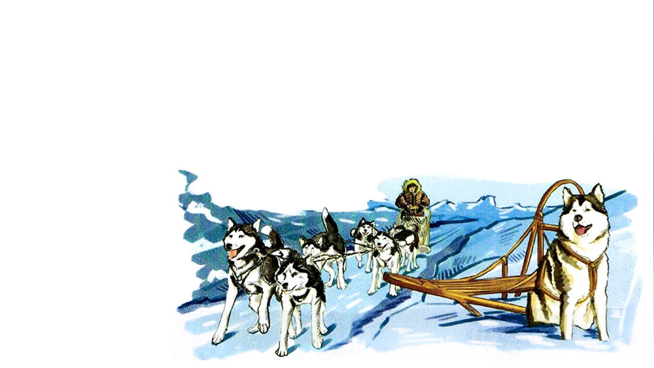 Alaskan Sled Dog backdrop