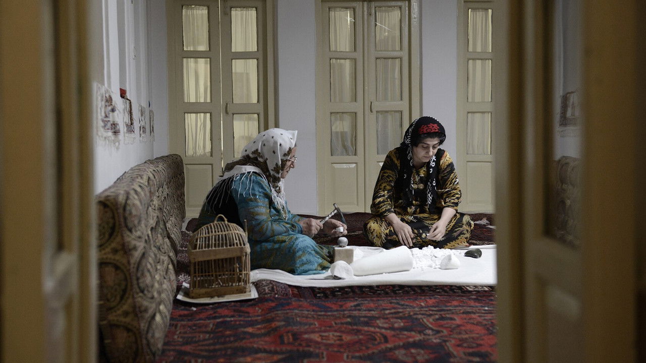 Partridges Fly Time backdrop