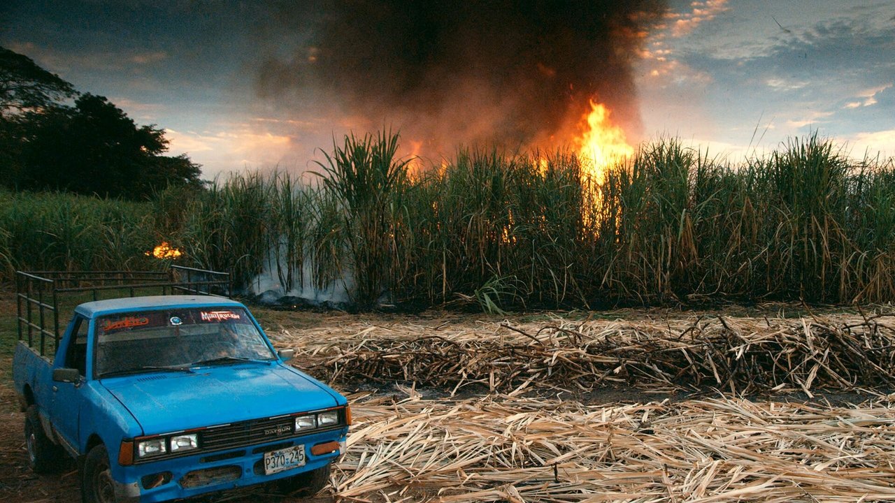 This Changes Everything backdrop