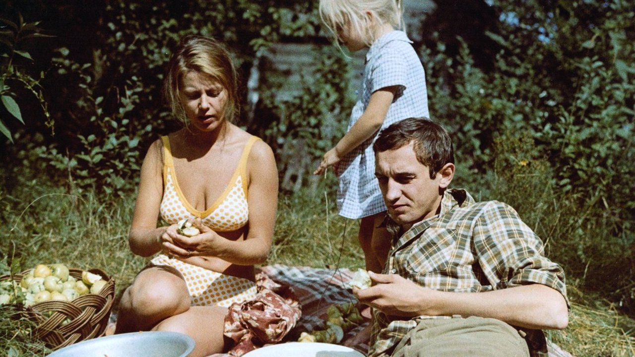 Summer Ends in Autumn backdrop