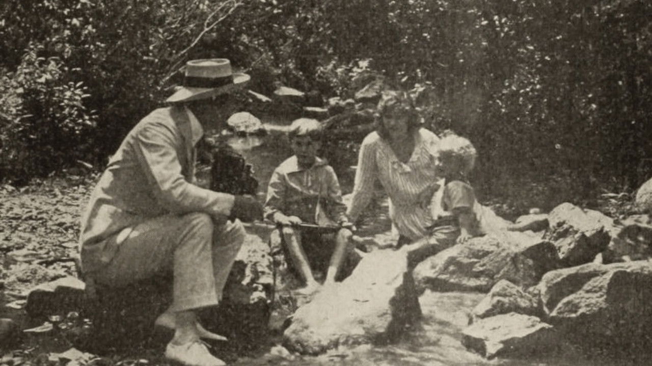 Miss Petticoats backdrop