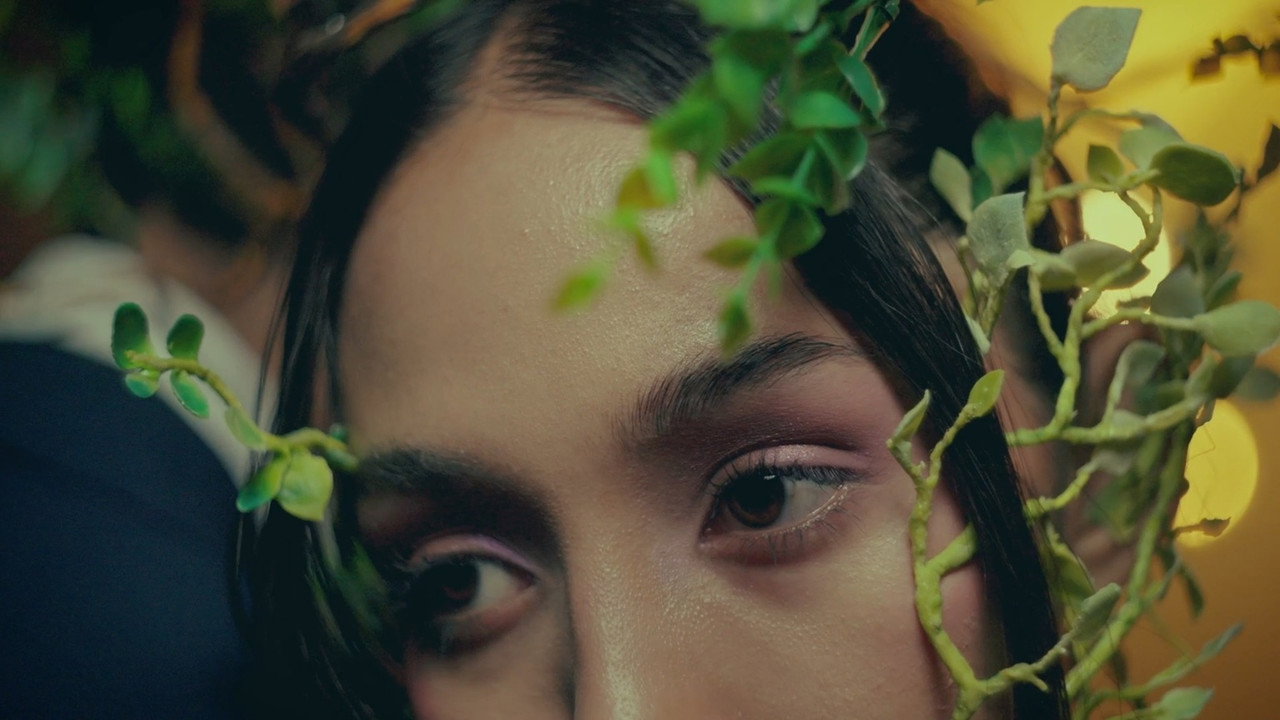 Metamorfosis backdrop