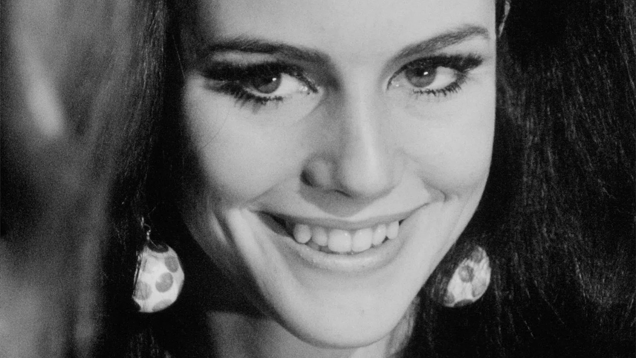 Paraphernalia backdrop