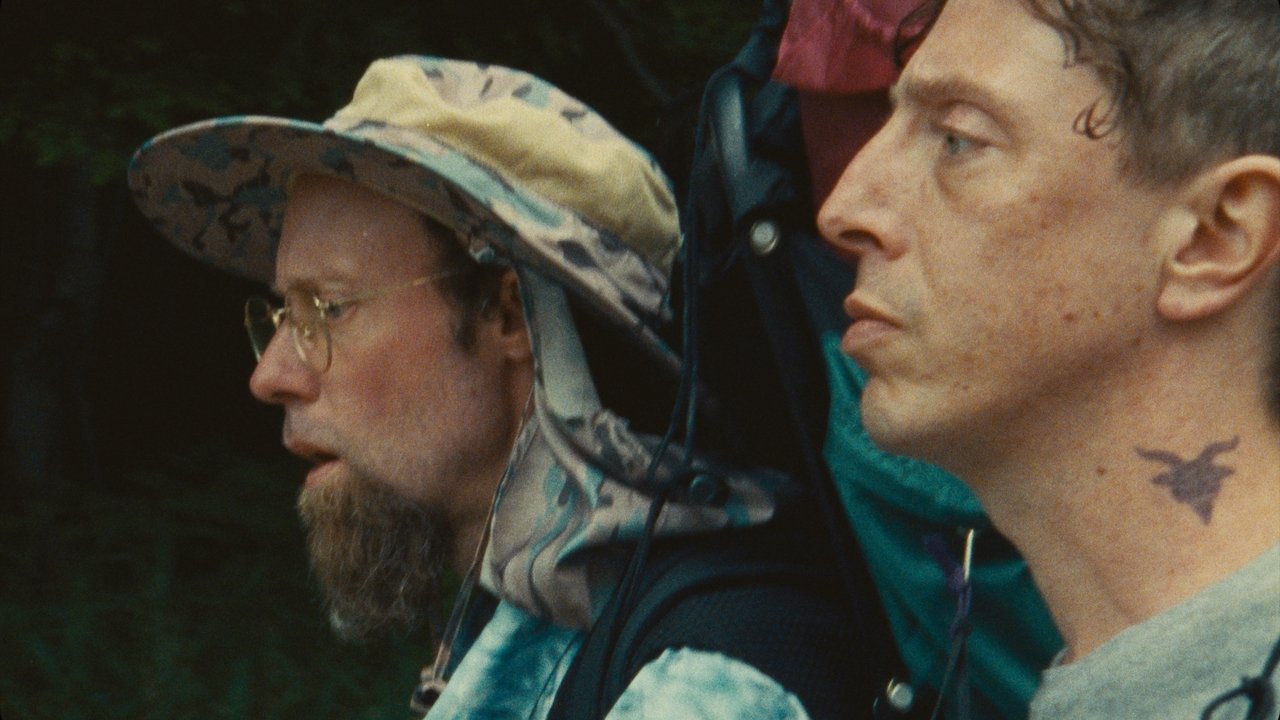 Vulcanizadora backdrop