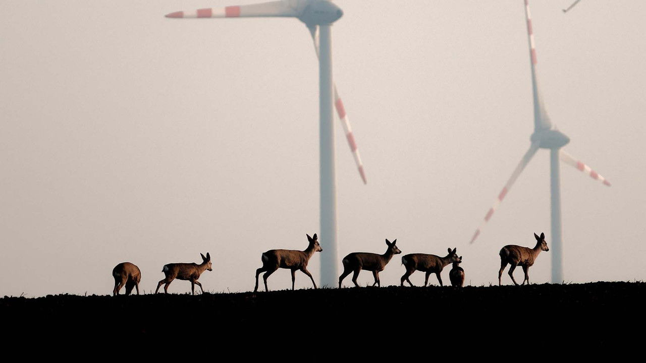 Wildnis 2.0 - Die Tierwelt auf Umwegen backdrop