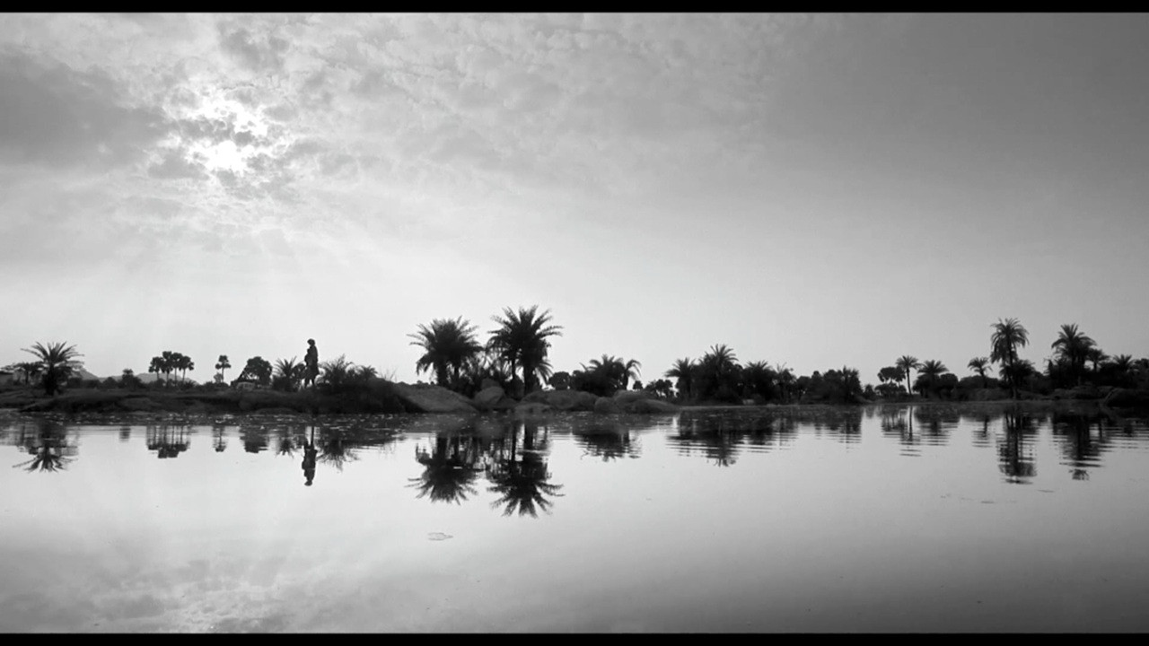 In the Name of Fire backdrop