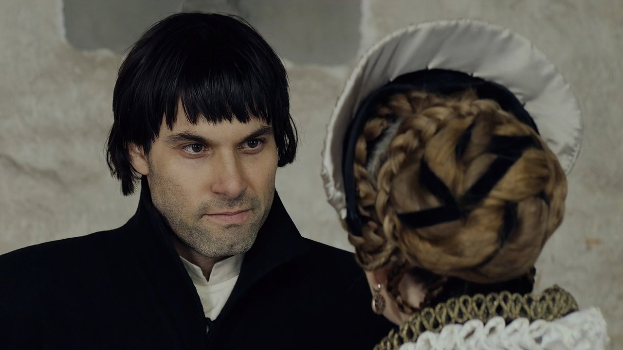 The Reformer. Zwingli: A Life's Portrait backdrop