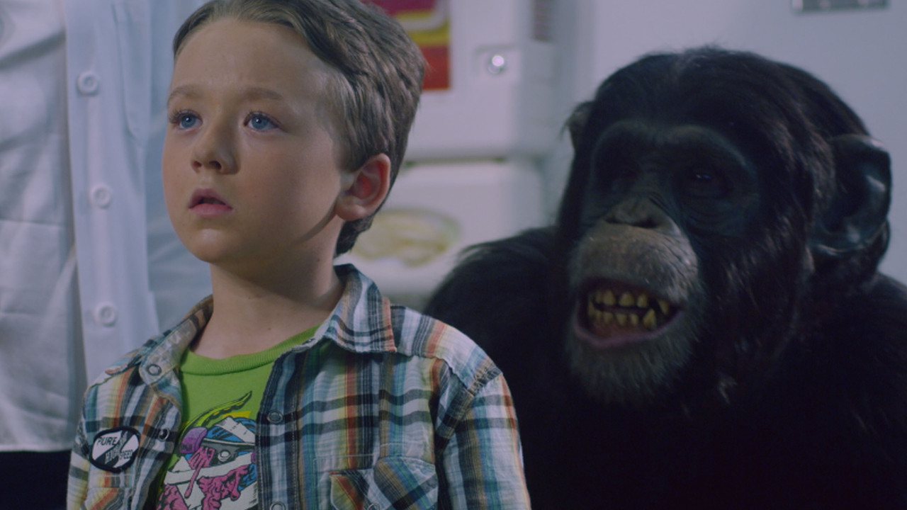 Amazing Ape backdrop