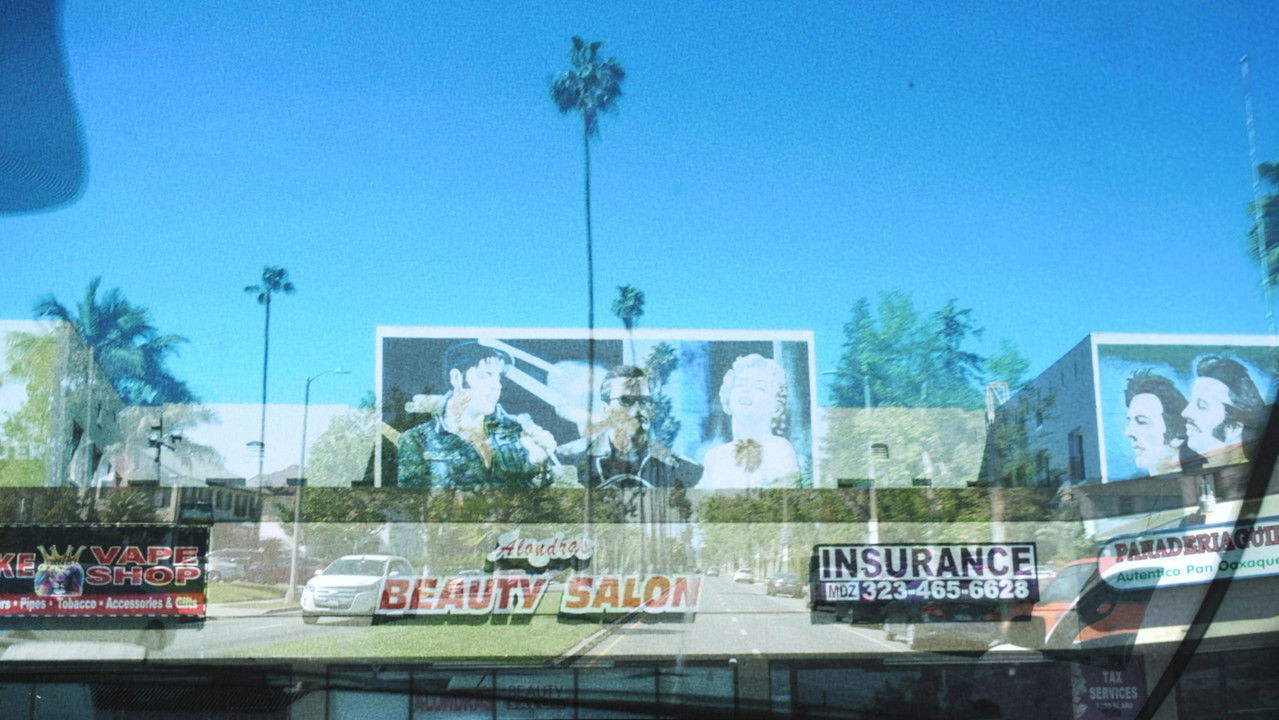 Same/Different/Both/Neither backdrop