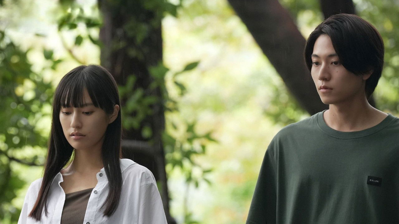 A Summer's Accomplice backdrop