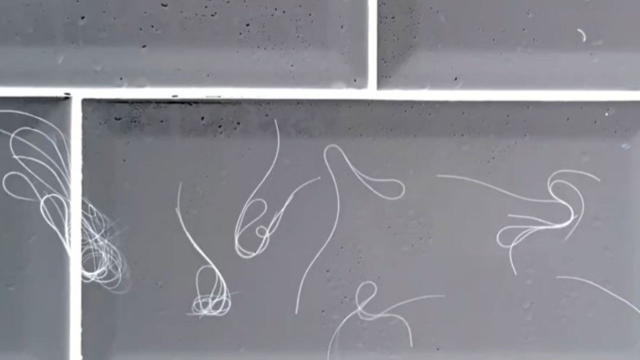 Nonarrativehair backdrop