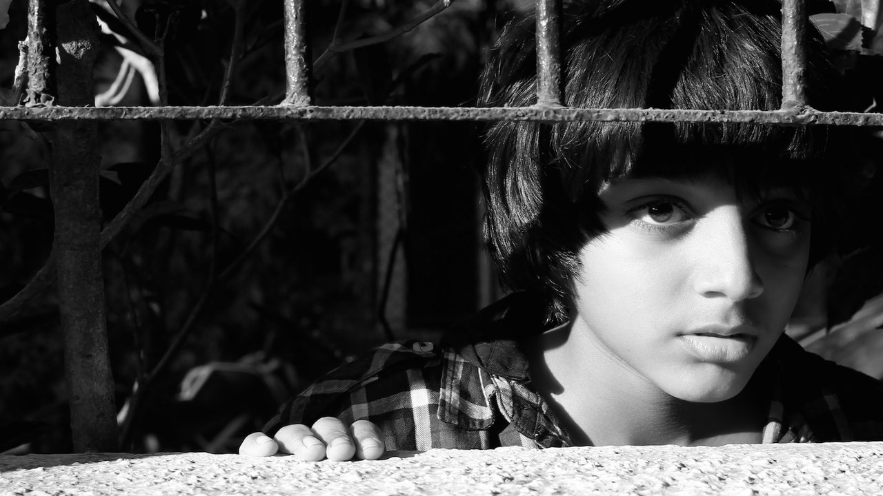 A Billion Colour Story backdrop