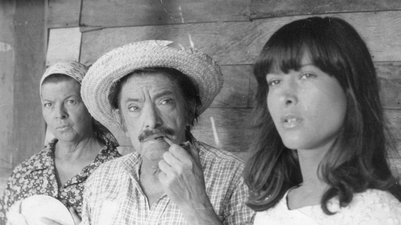 A Banda das Velhas Virgens backdrop