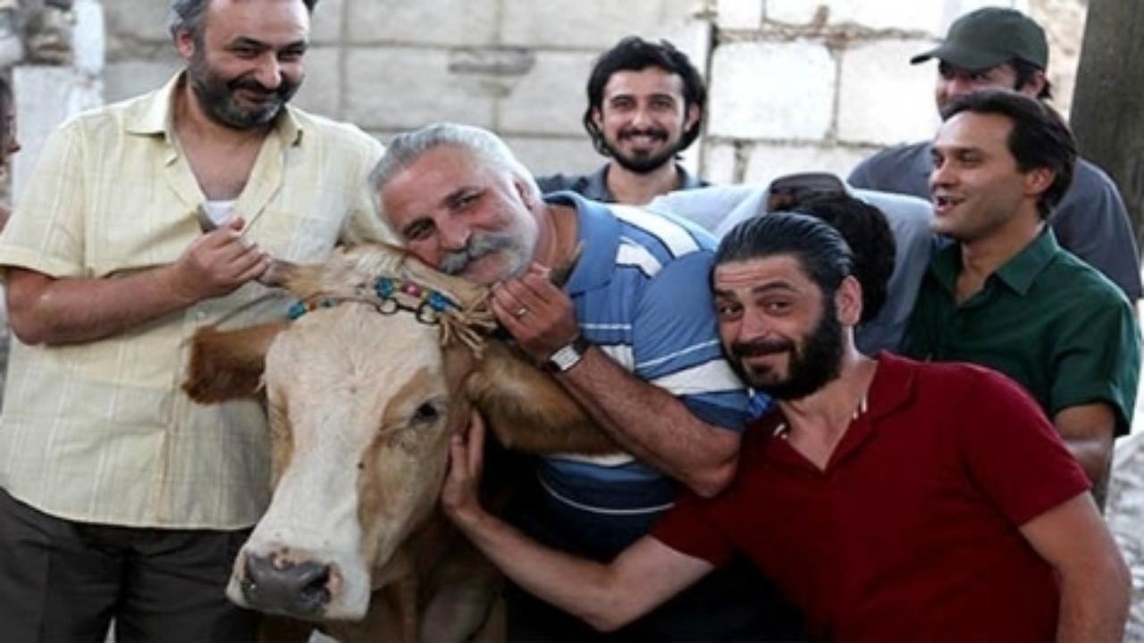 The Exiled Cow backdrop