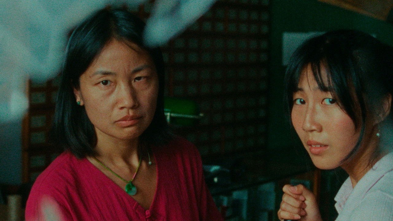 Roots That Reach Toward The Sky backdrop