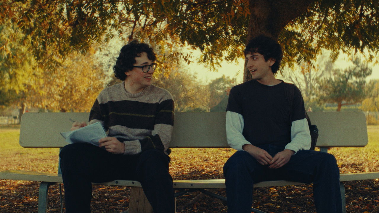 The Wolf Cut backdrop