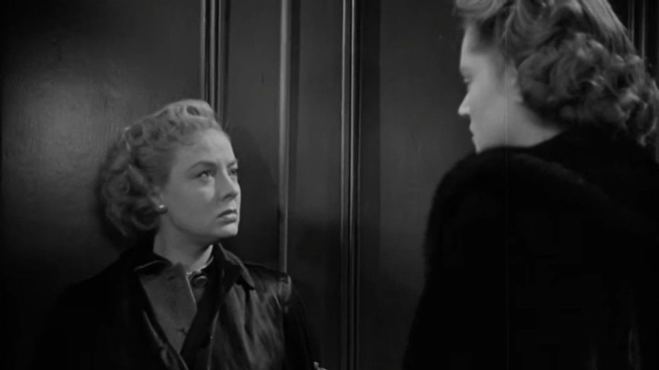 Any Number Can Play backdrop