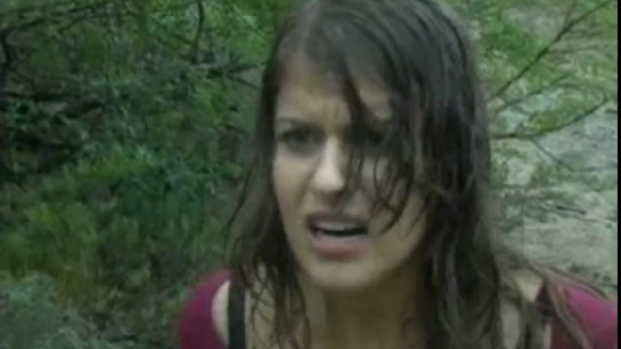 Within the Woods backdrop