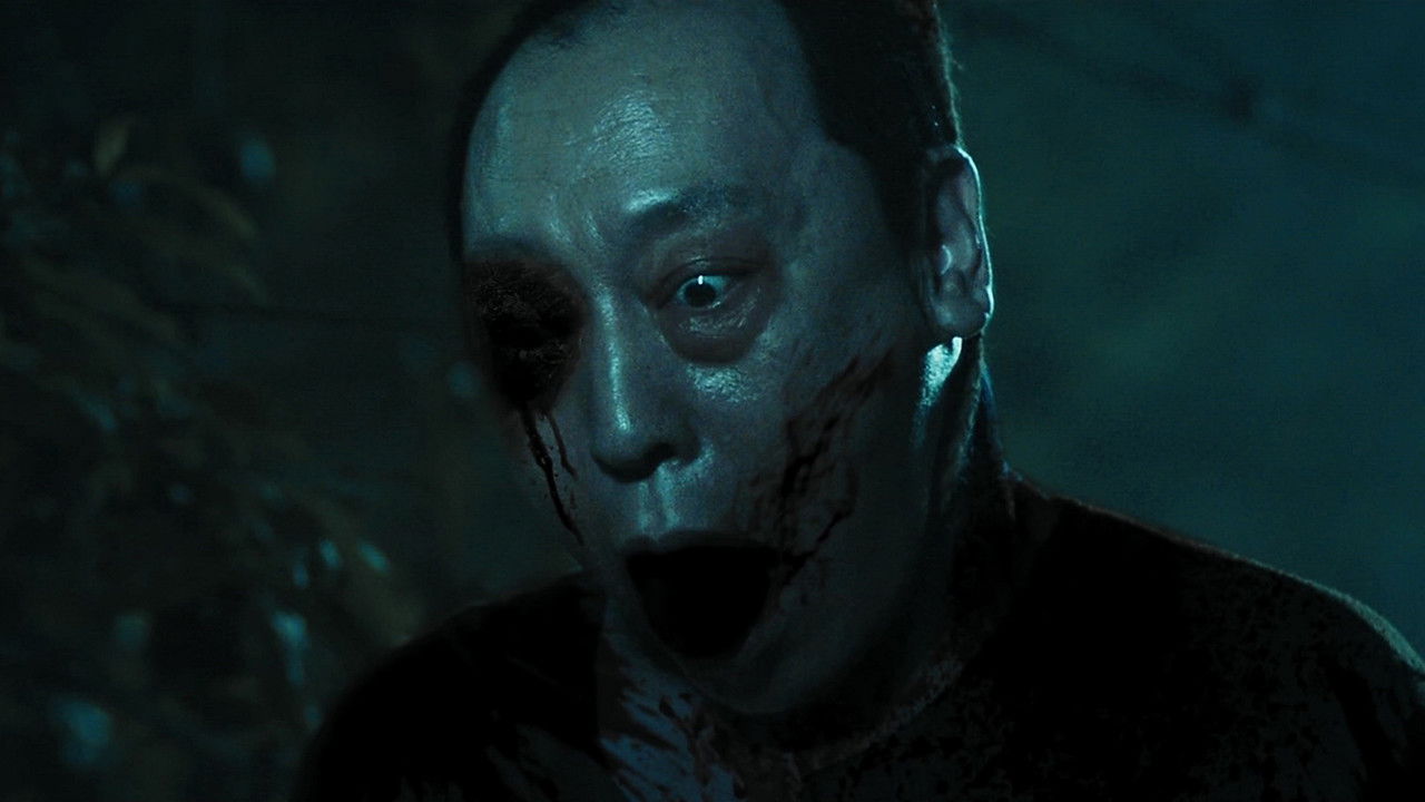 Visit the Widow Village in the Night backdrop