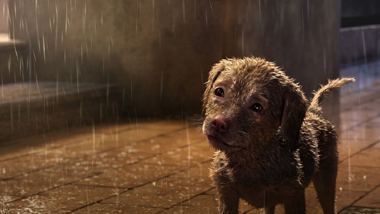 A Dog's Life backdrop