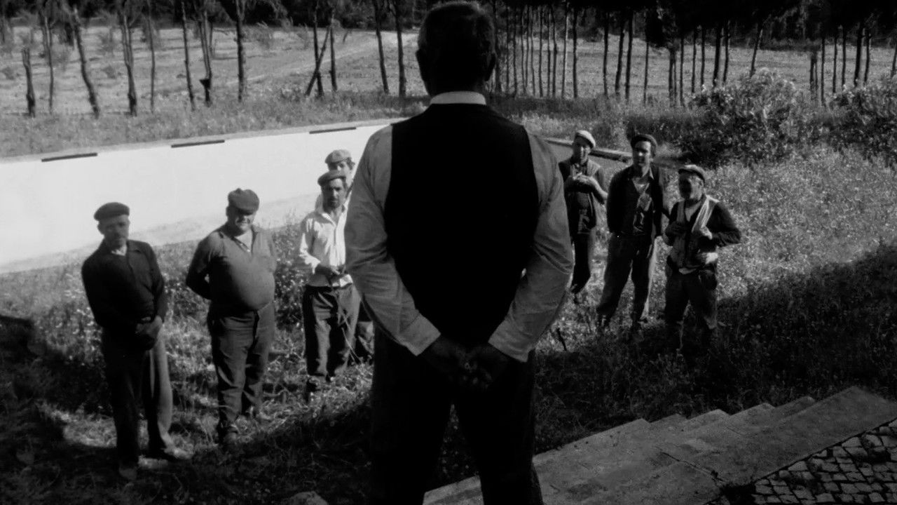 … Pela Razão Que Têm! backdrop