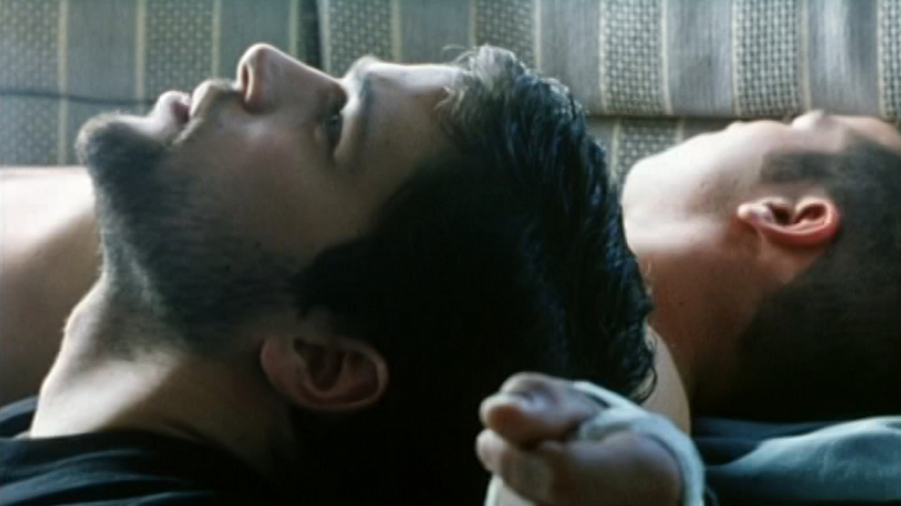 Kissing Tigers backdrop