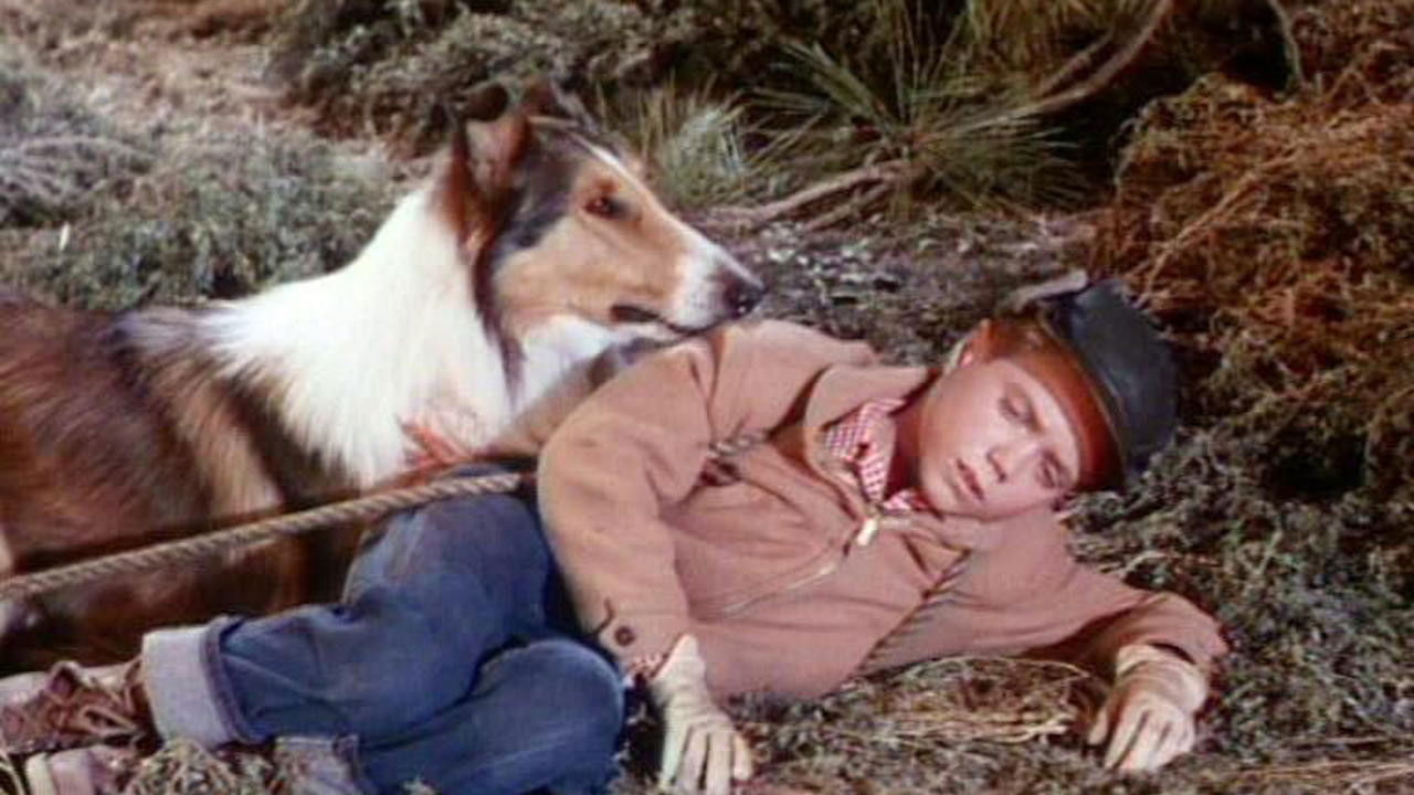 Lassie's Greatest Adventure backdrop