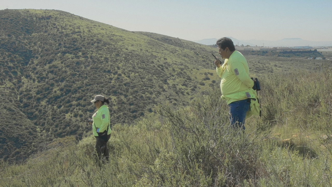 Spare My Bones, Coyote! backdrop