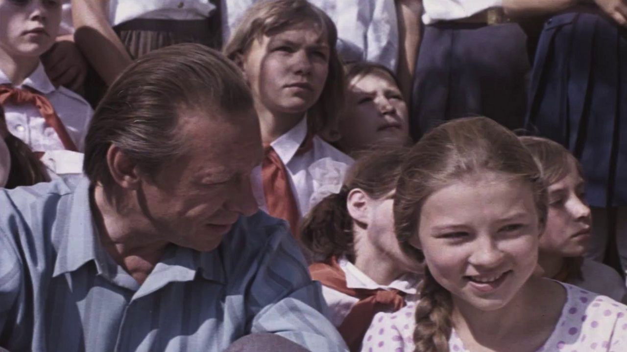 Forest Swing backdrop