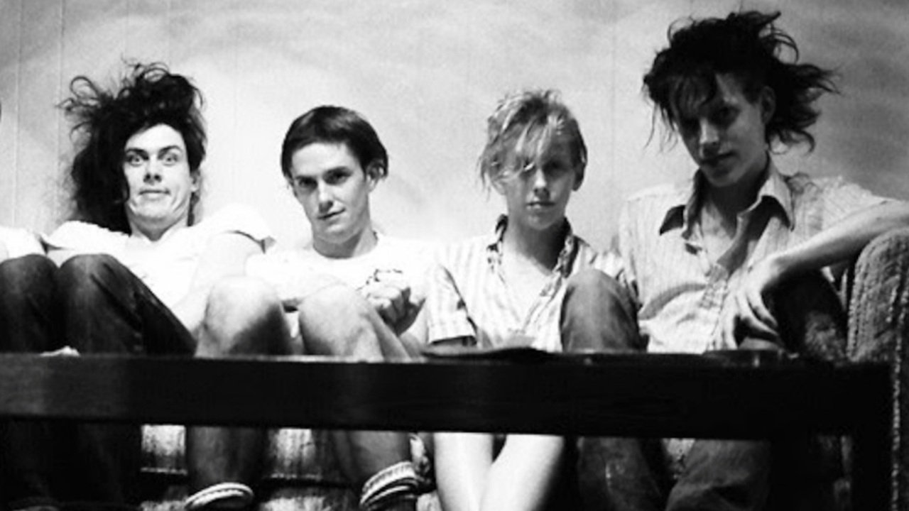 Butthole Surfers: The Hole Truth and Nothing Butt backdrop