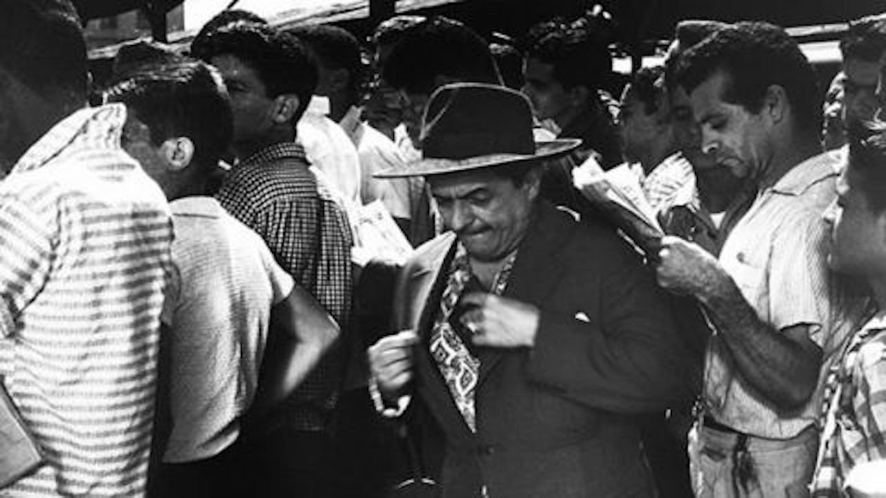 O Batedor de Carteiras backdrop