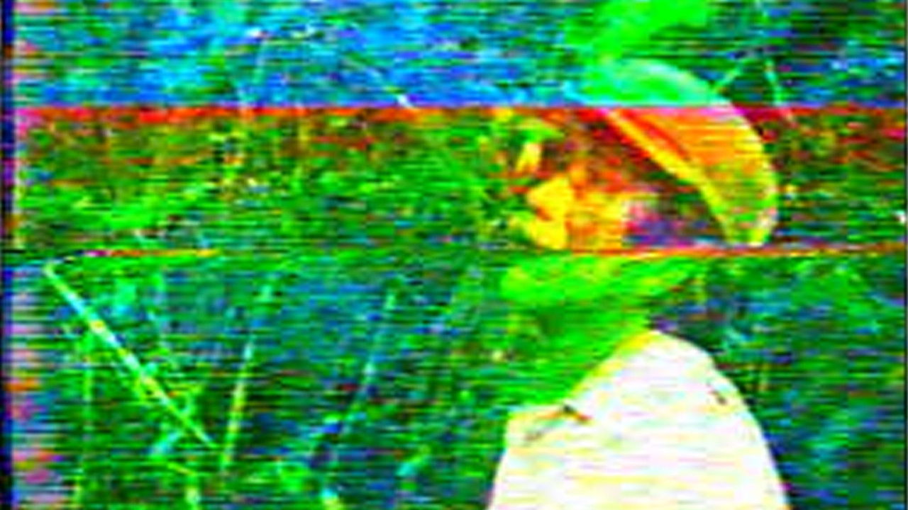 Senda india backdrop