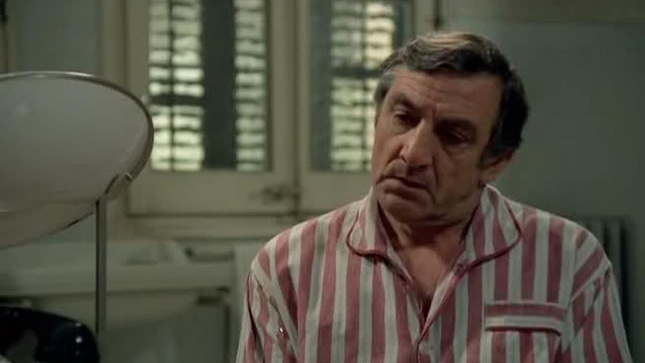 Butterfly on the Shoulder backdrop