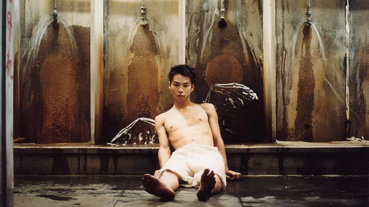 Angel in the Toilet backdrop