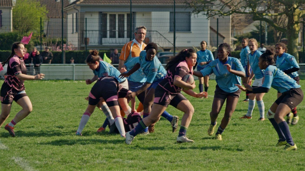 Pink, Black and Blue backdrop