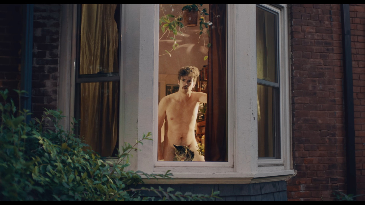 Monkey-Love, Please Hold backdrop