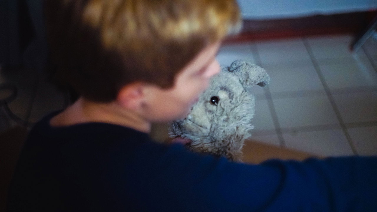 Foreverland backdrop