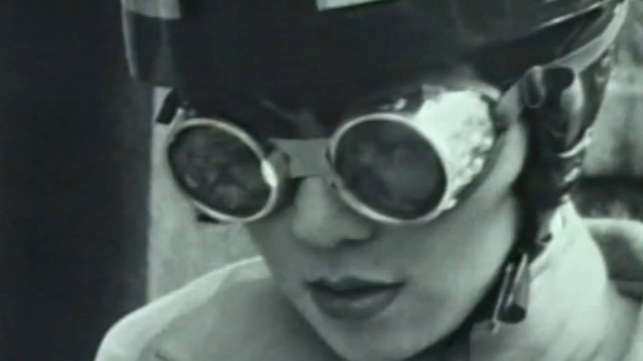 Queen's Polyester Dog backdrop