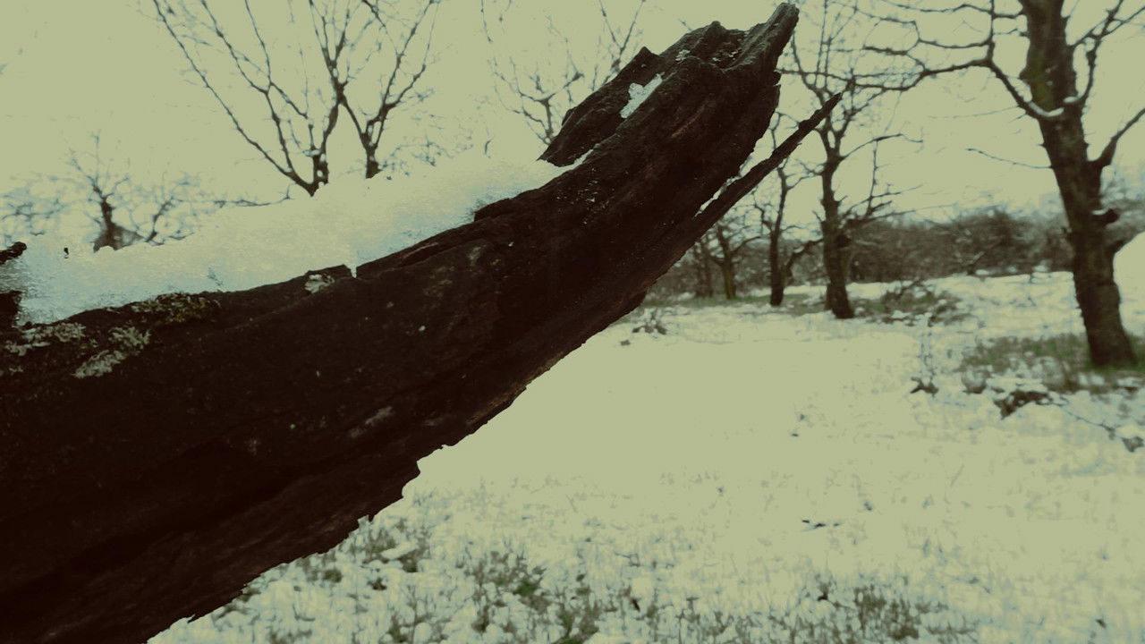 A Hall of Mirrors backdrop