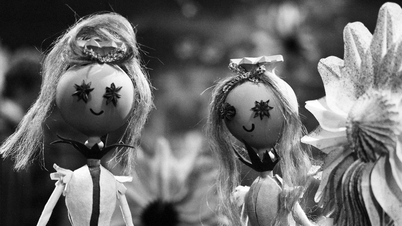 Trávnička backdrop