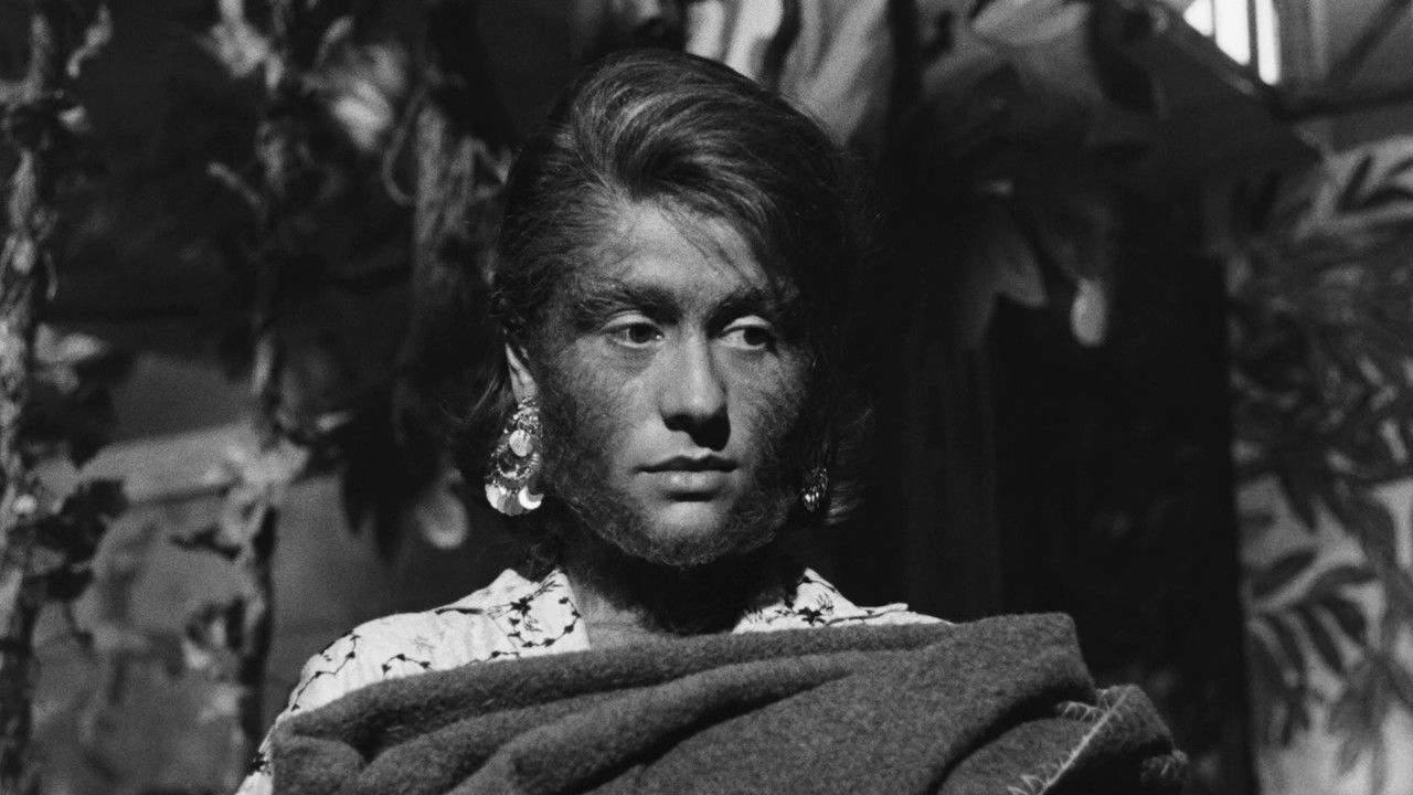 The Ape Woman backdrop