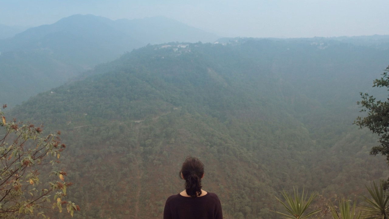 Nobody, Not Even the Mist backdrop